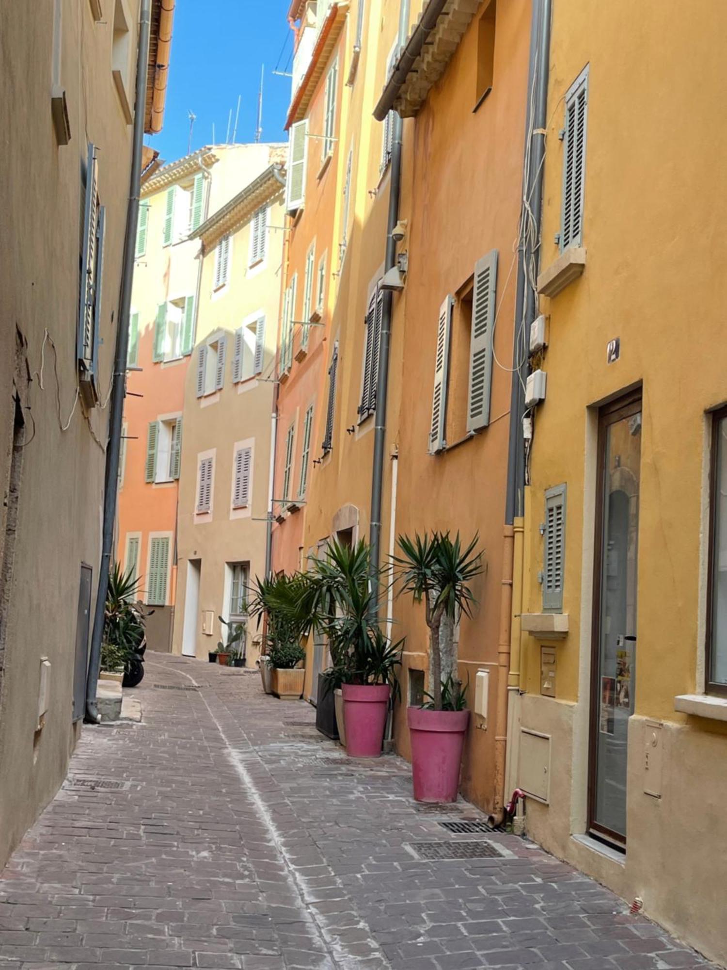 Le Palmae, Serenite Et Charme En Coeur De Ville Hyères Exterior foto